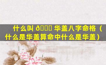 什么叫 🐝 华盖八字命格（什么是华盖算命中什么是华盖）